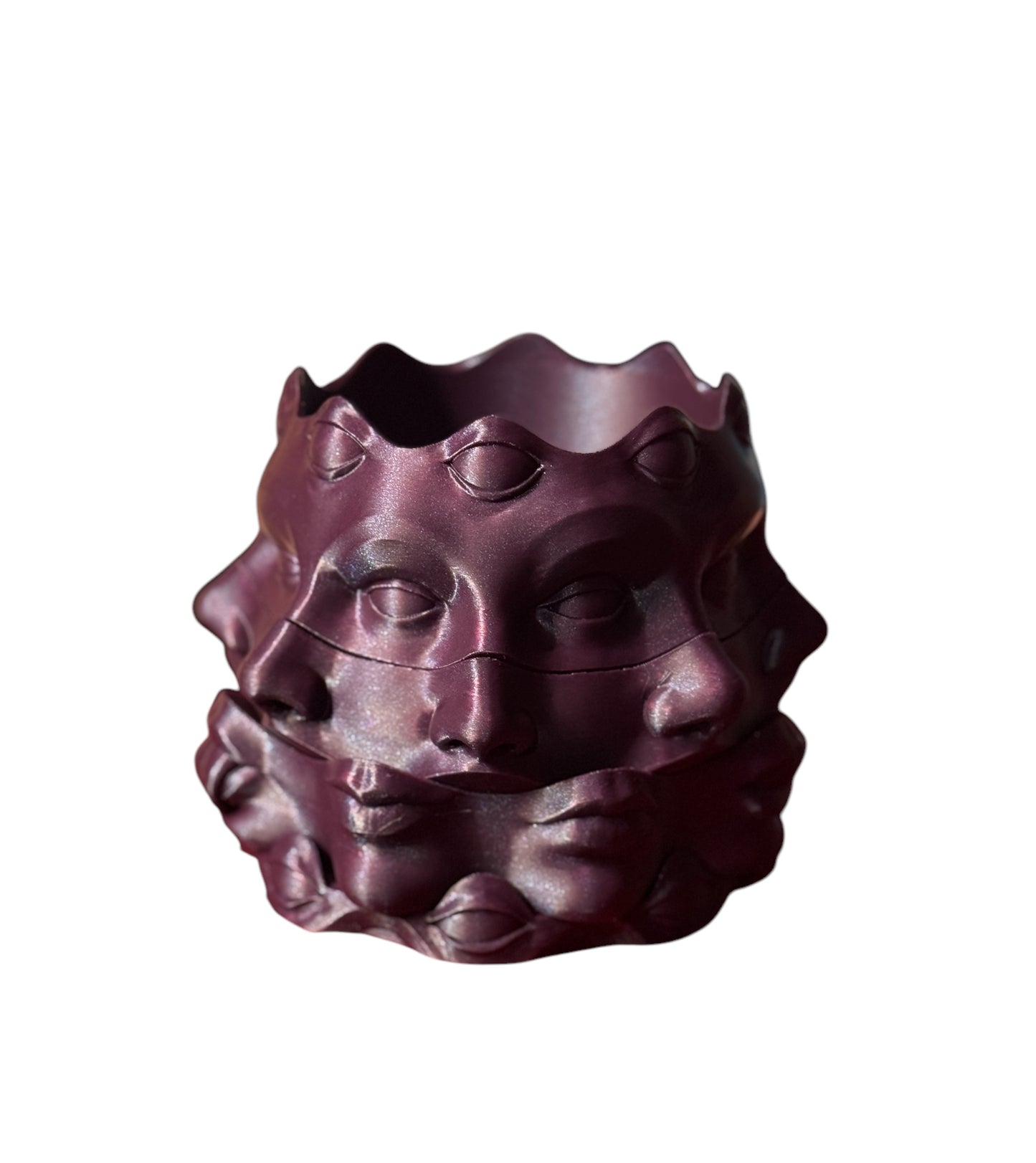 Spinning Face Planter with Drip Tray Surreal 3D Printed Decorative Pot